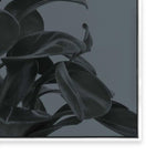 Houseplants I
