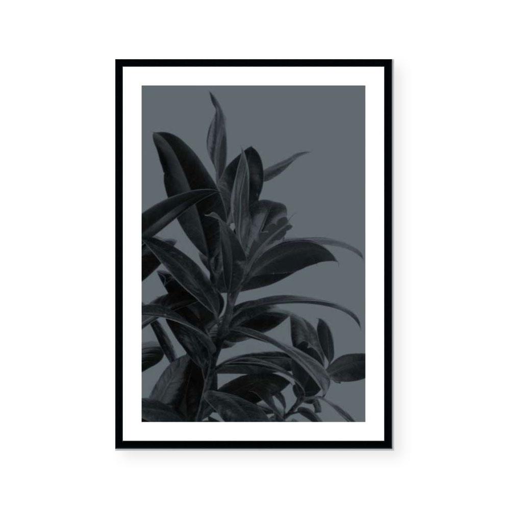Houseplants III