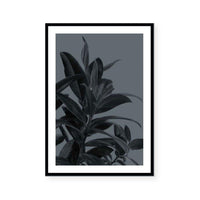 Houseplants III