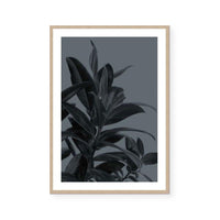Houseplants III