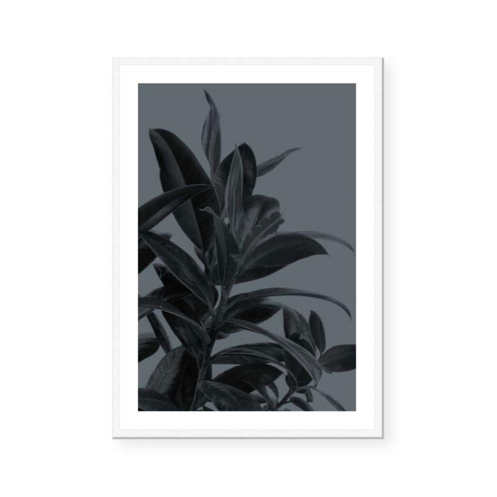 Houseplants III