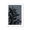 Houseplants III