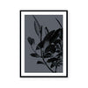 Houseplants II