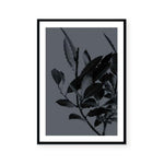 Houseplants II