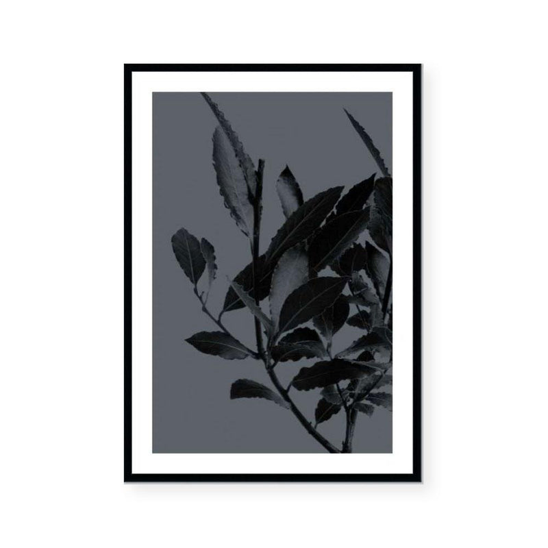 Houseplants II