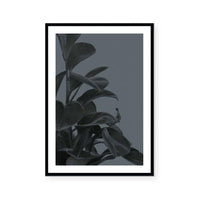 Houseplants I