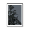 Houseplants I