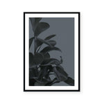 Houseplants I