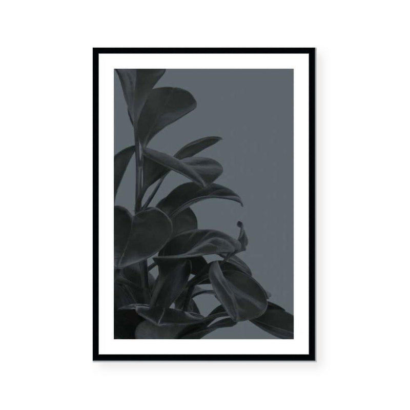 Houseplants I