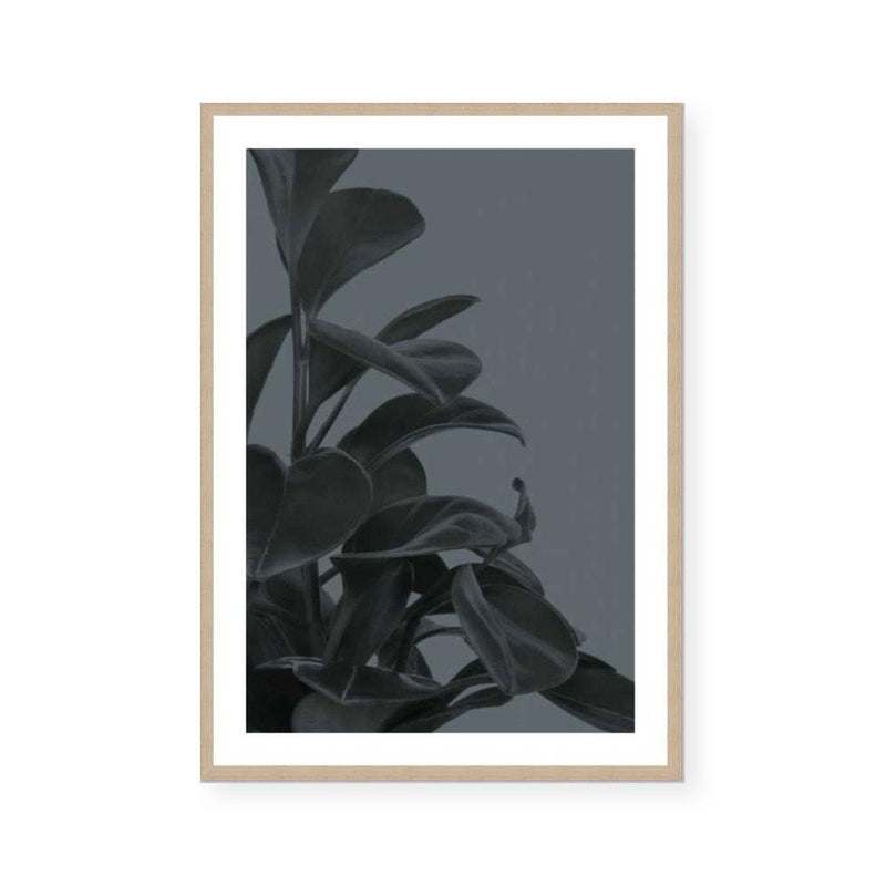 Houseplants I