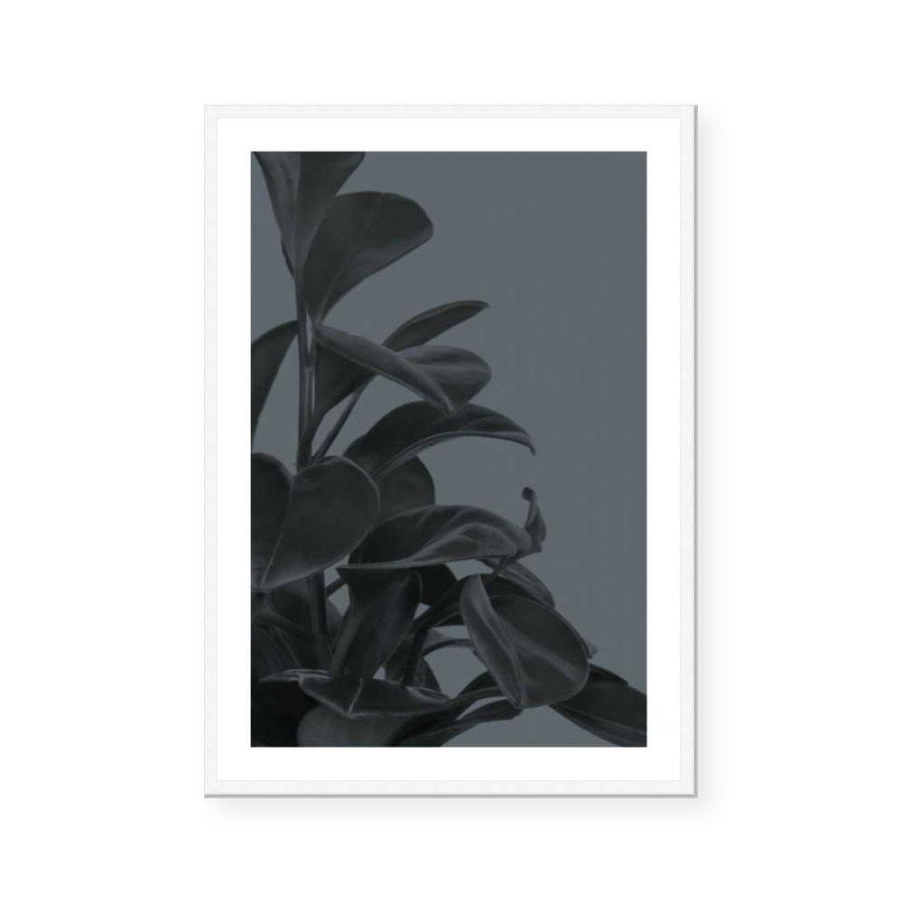 Houseplants I