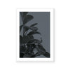 Houseplants I