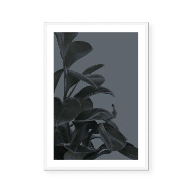 Houseplants I