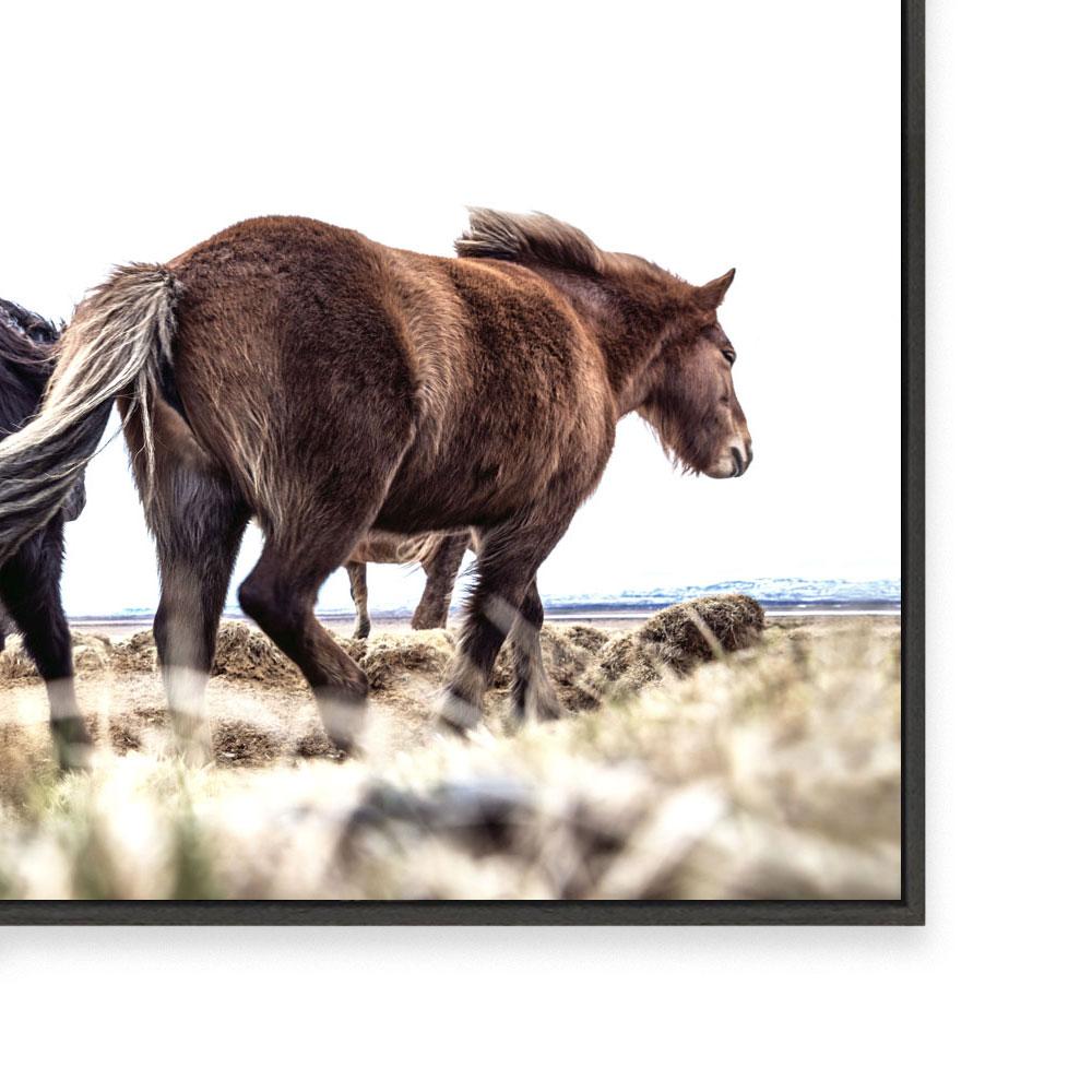 Iceland IV