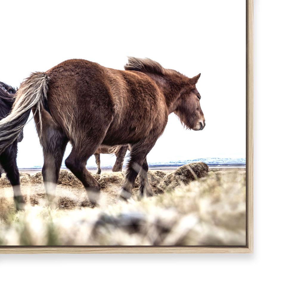 Iceland IV