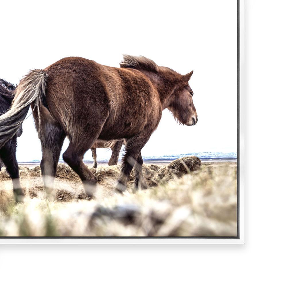 Iceland IV