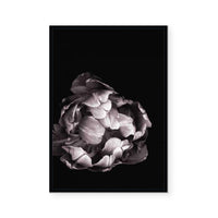 In Stark Contrast II