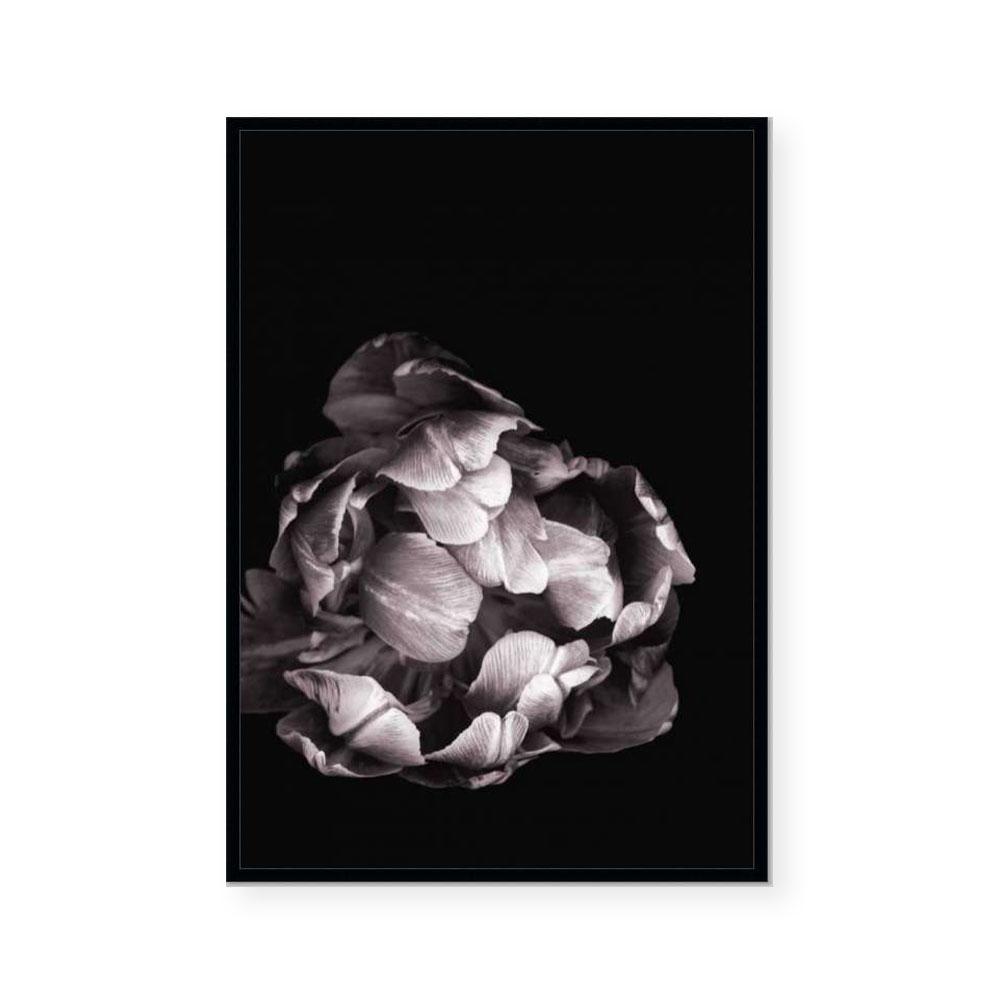 In Stark Contrast II