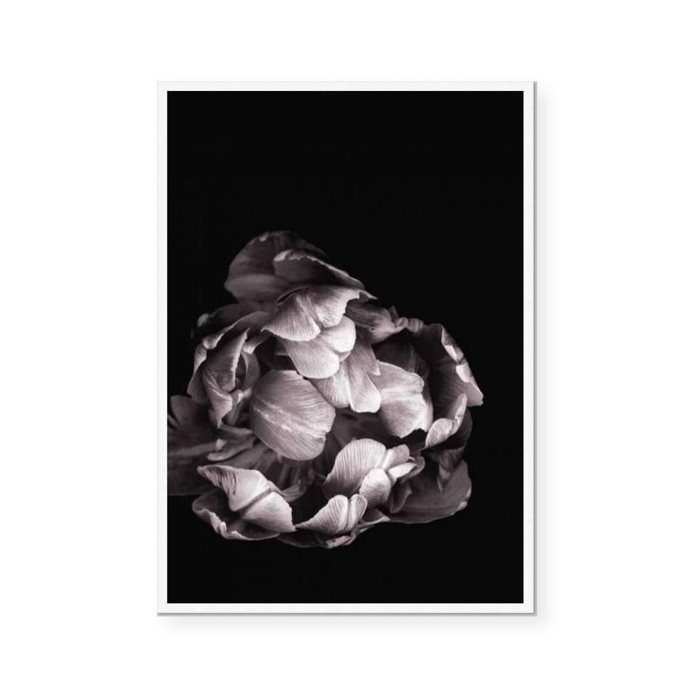 In Stark Contrast II