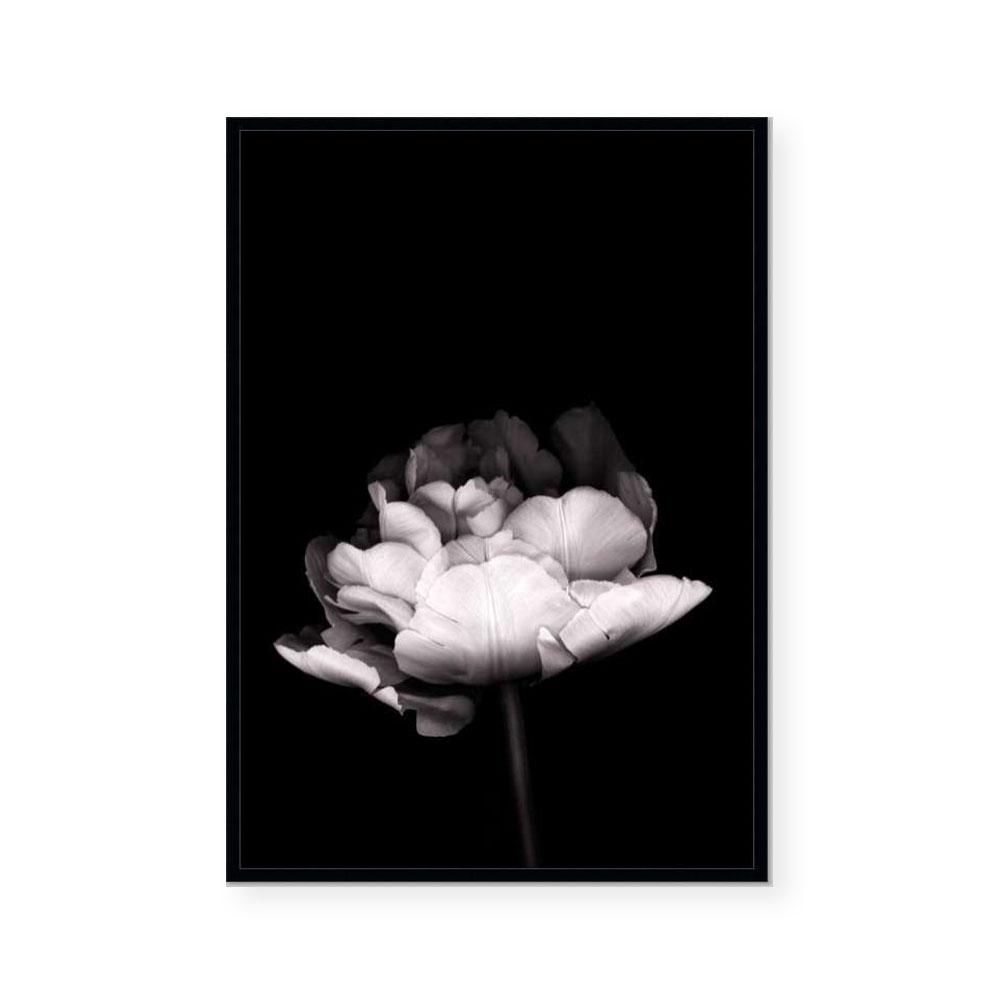 In Stark Contrast III