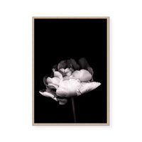 In Stark Contrast III