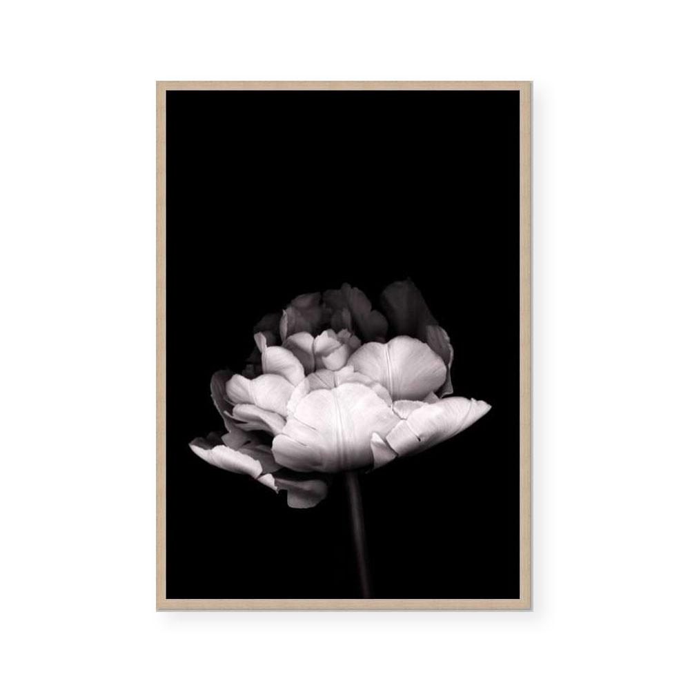 In Stark Contrast III