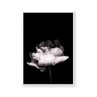 In Stark Contrast III