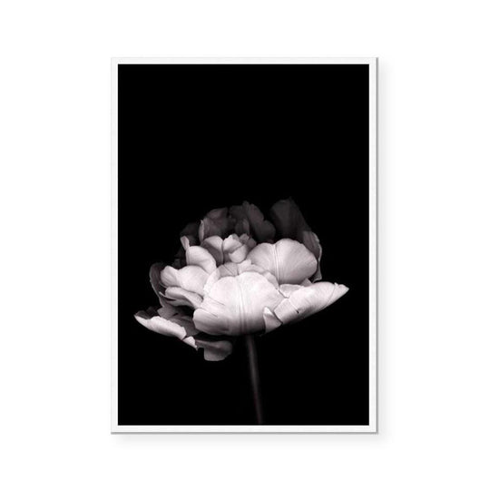 In Stark Contrast III