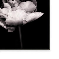 In Stark Contrast III