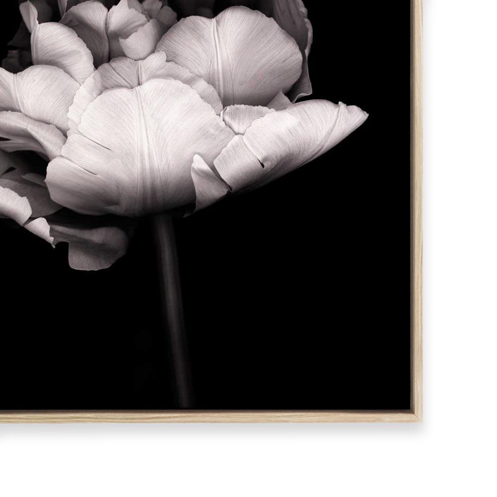 In Stark Contrast III