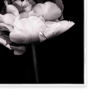 In Stark Contrast III