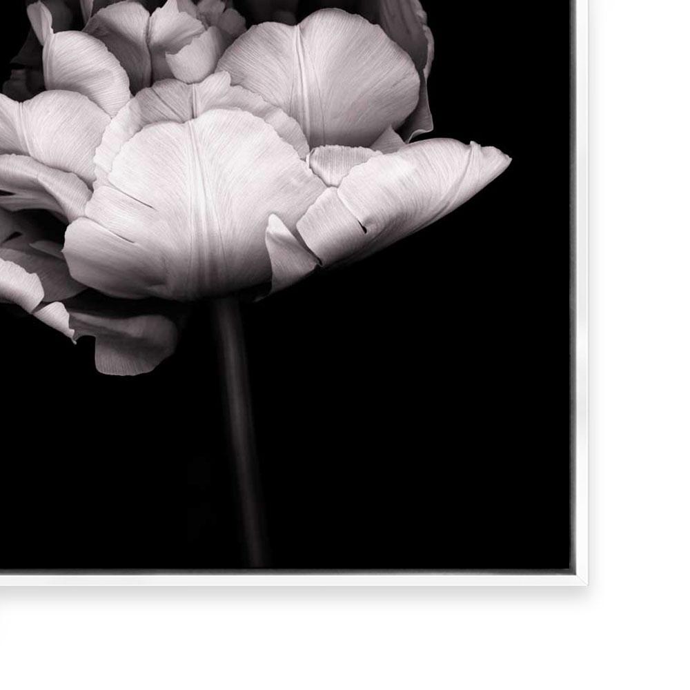 In Stark Contrast III