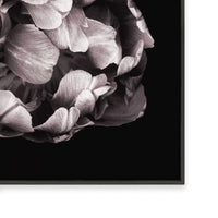 In Stark Contrast II