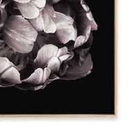 In Stark Contrast II