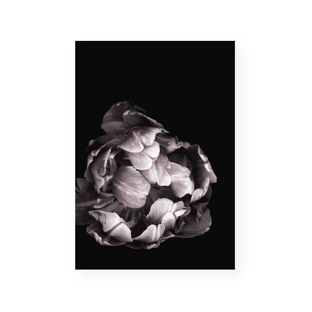 In Stark Contrast II