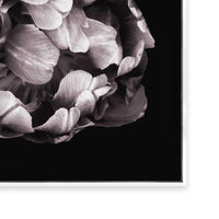 In Stark Contrast II