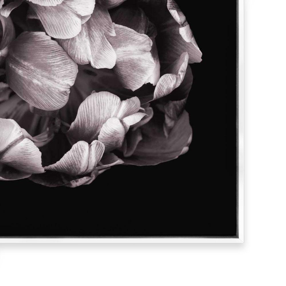 In Stark Contrast II