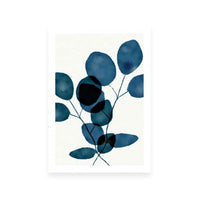 Indigo Eucalyptus III