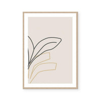 Indoor Plant II