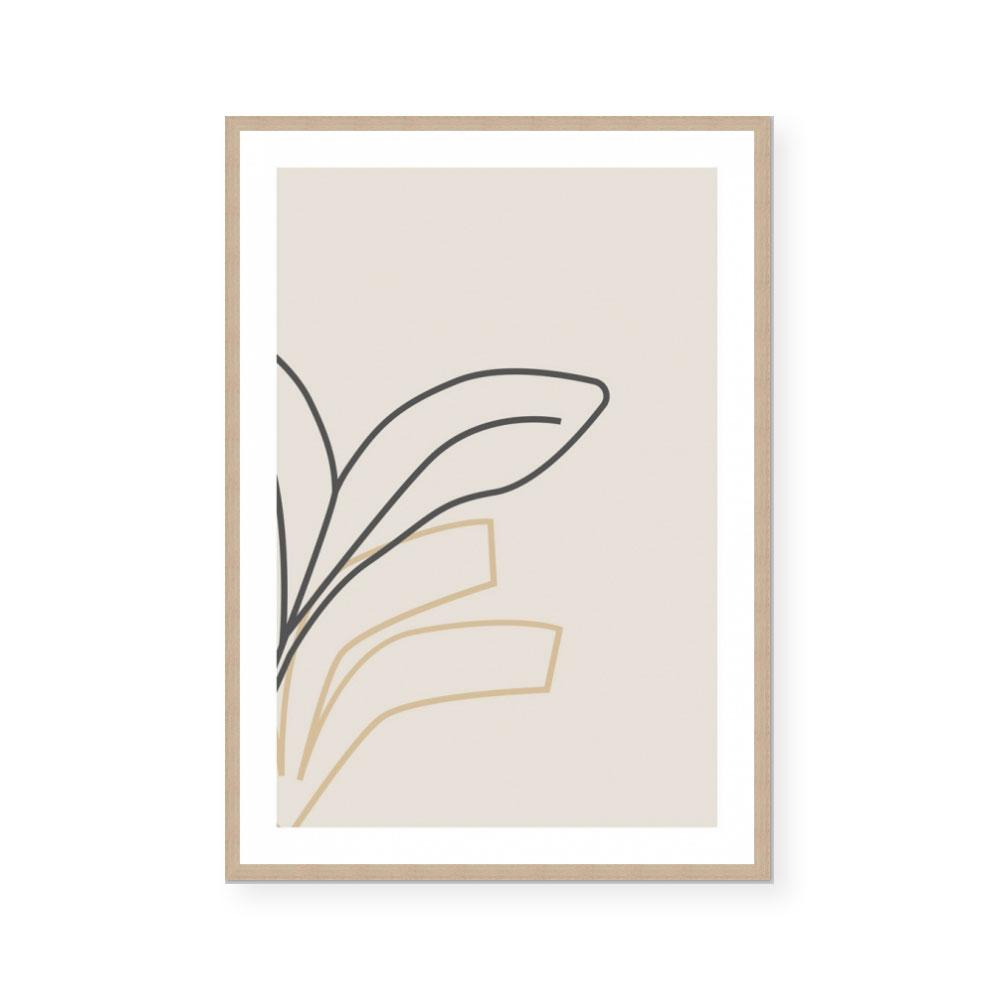 Indoor Plant II