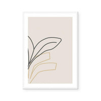 Indoor Plant II