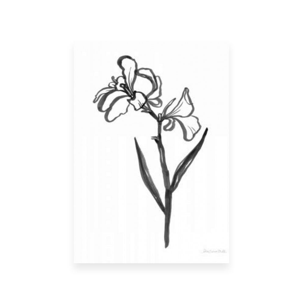 Ink Flower II