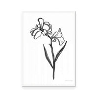 Ink Flower II