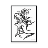 Ink Lilies II