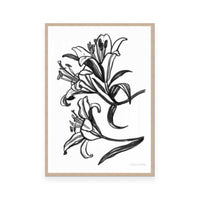 Ink Lilies II