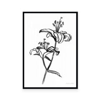 Ink Lilies I