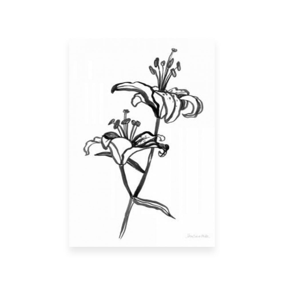 Ink Lilies I