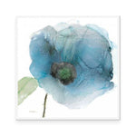 Iridescent Blue Poppy III
