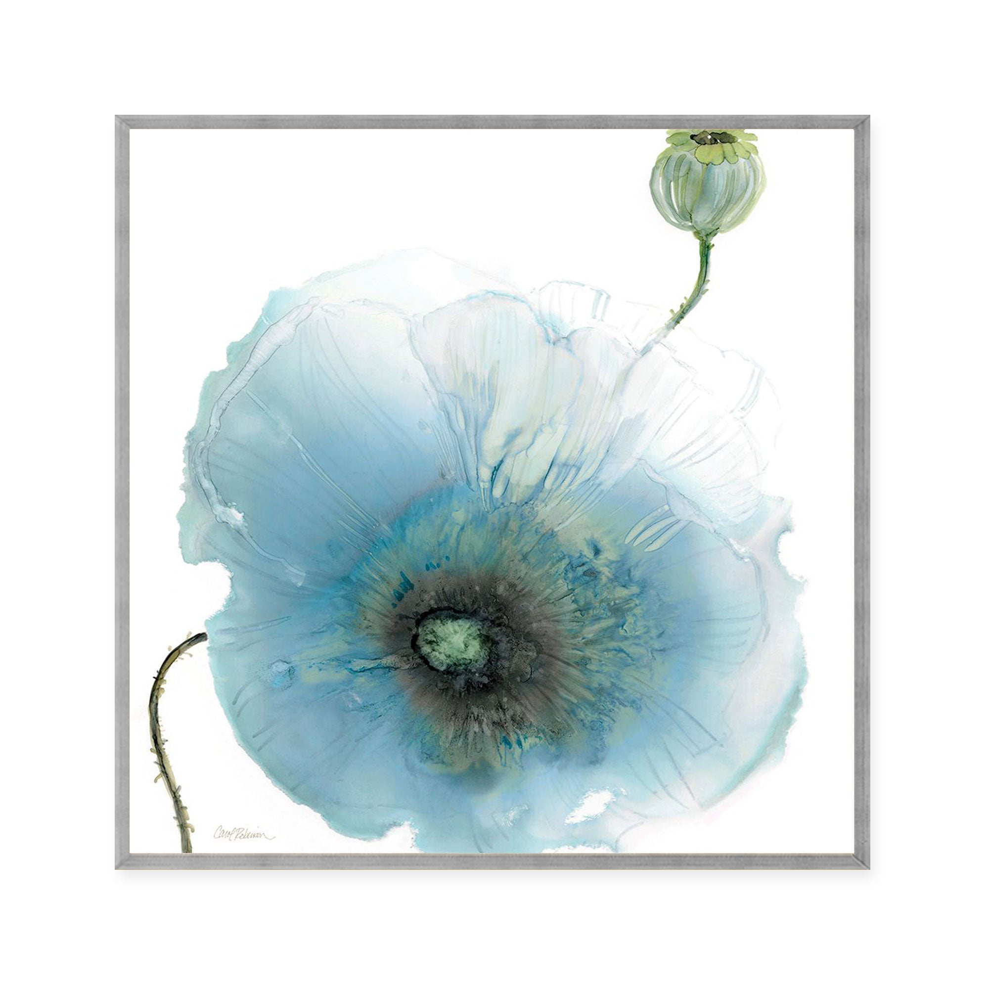 Iridescent Blue Poppy I
