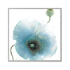 Iridescent Blue Poppy I
